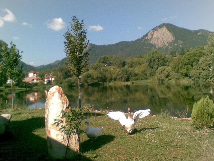 Ribkata Family Hotel Smolyan Exterior foto